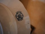 a close up of a plate with a lion on it