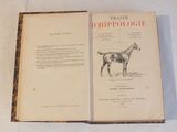 un livre sur lequel figure l'image d'un cheval