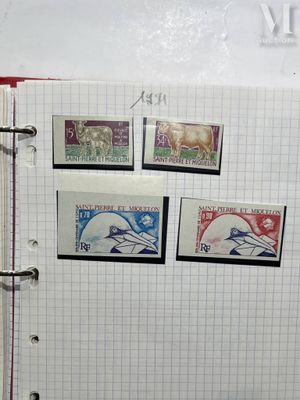 a binder with stamps on it that has a picture of a horse on it