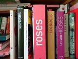 many books that are on a shelf in the room