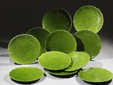 beaucoup d'assiettes et de bols verts sur la table