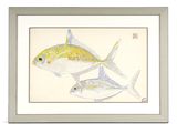 two fish are shown in a white frame on a white background