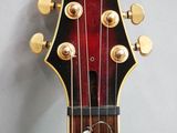the neck of a guitar with a red fret and gold hardware