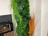 a tall green plant growing on the wall next to a broom