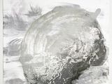 drawing of a large turtle laying on top of a sandy beach