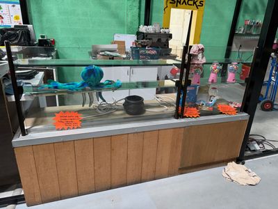 une vitrine contenant un poisson dans un magasin