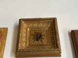 a picture of a picture of a spider and a picture of a spider on a wall