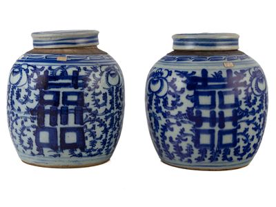 une paire de vases bleus et blancs ornés de motifs orientaux