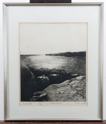 an image of a black and white photo of a rocky beach