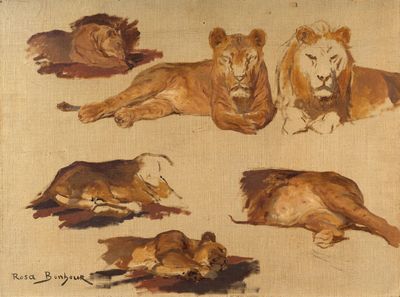 tableau représentant un groupe de lions couchés et allongés sur le sol