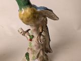 a bird that is sitting on top of a tree branch