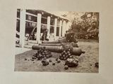 a black and white photo of a bunch of apples on the ground