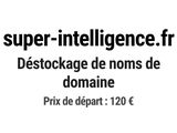 super - intelligence fr desstockage de nons de domaine