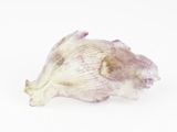 a close up of a piece of garlic on a white surface