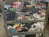 a metal cage filled with stuffed animals on top of a table