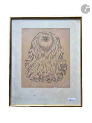 dessin représentant un chien à poil long dans un cadre accroché au mur