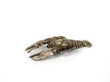 une pince de homard ancienne plaquée argent sur fond blanc