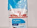 Royal Canin Puppy Maxi 2 kg