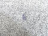 a small bug that is sitting on the ground