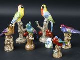 five different colored birds sitting on top of a tree stump