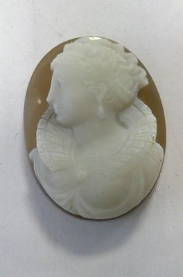 an image of a picture of a woman ' s face on a white background