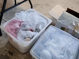deux récipients contenant de la nourriture posés par terre à côté d'une chaise