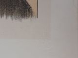 Photo 6/9 du lot
