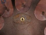an image of a close up view of a fire hydrant