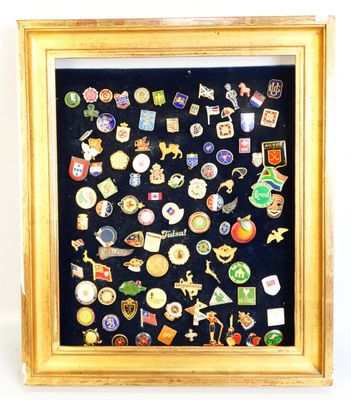 a picture of a framed picture of a collection of pins