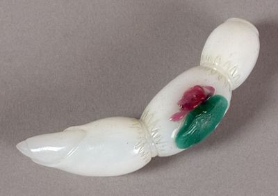 an image of a white bird with green and red feathers on it ' s back