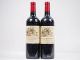 deux bouteilles de vin rouge posées l'une à côté de l'autre sur une surface blanche