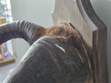 a close up of a person ' s feet on a wooden headboard