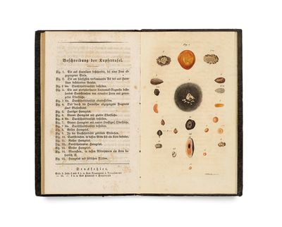 an open book with a drawing of various objects on it