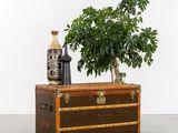 a small potted plant sitting on top of a trunk