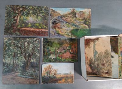 six tableaux représentant des arbres, rangés dans une boîte posée sur une table