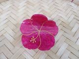 a pink flower sitting on top of a wooden table