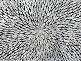photographie en noir et blanc représentant un motif circulaire formé de feuilles