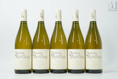 six bouteilles de vin sont alignées sur une surface blanche