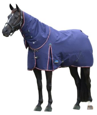a horse that is wearing a blue blanket