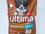 un gros plan sur un sac de croquettes pour chien avec le visage d'un chien
