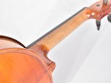 a close up of a violin on a white background