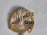 a gold pin with a picture of a palm tree on it
