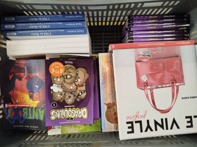 Lot de livres - MULTIPLES ÉDITEURS - BD et ouvrages pratique…