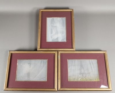 three framed pictures of a cat are on a shelf in a room
