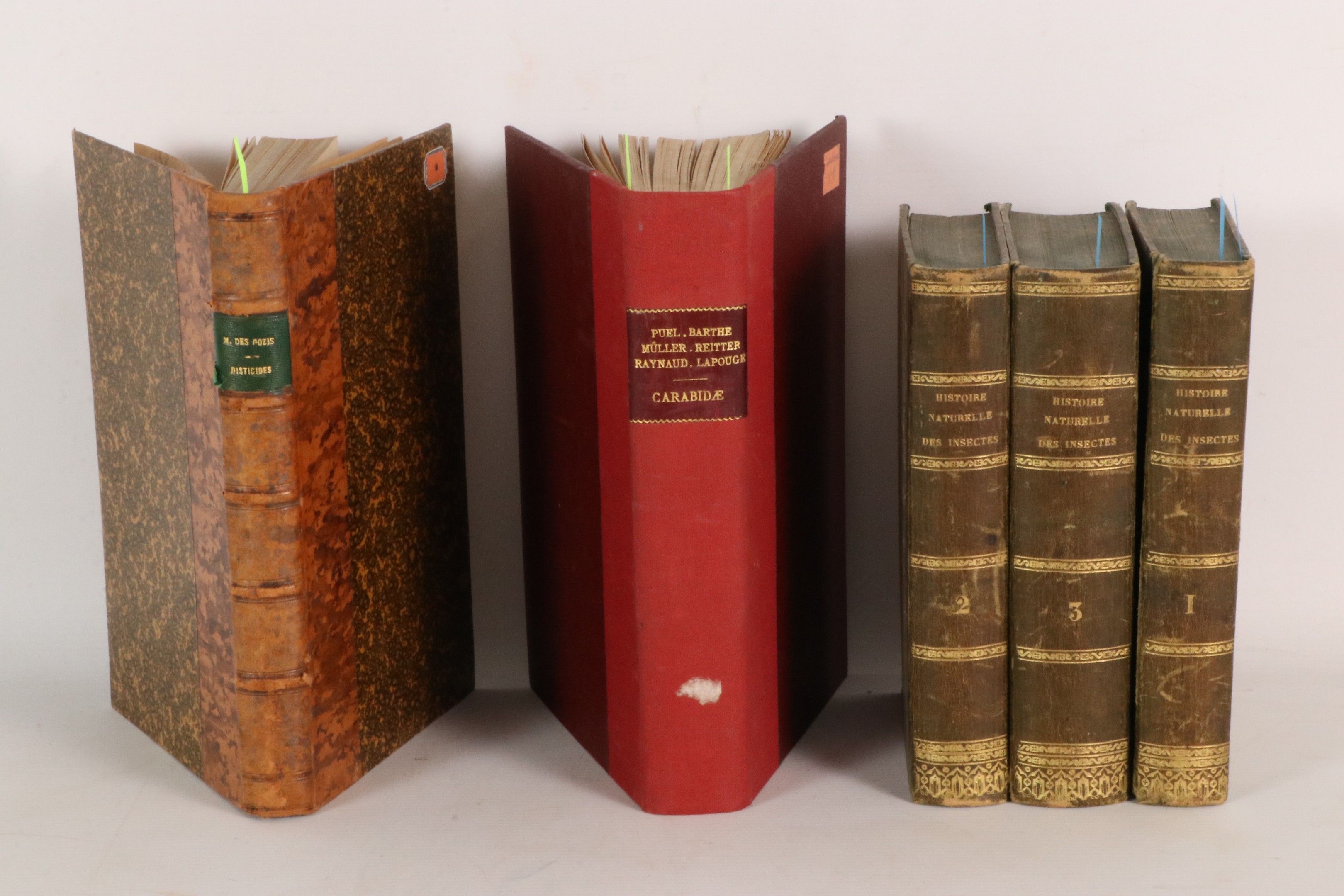 [ENTOMOLOGIE] CASTELNAU (M. le Comte de) & BLANCHARD (Emile)…