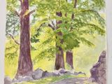 watercolor painting of a path through a forest with trees