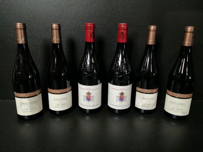 Lot de 6 bouteilles de vin rouge : 2 Domaine Usséglio Raymon… - Photo 1