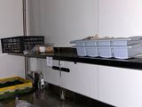 an image of a kitchen with a lot of clutter on the counter
