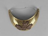 gold plated collar with a lion and a bird on it