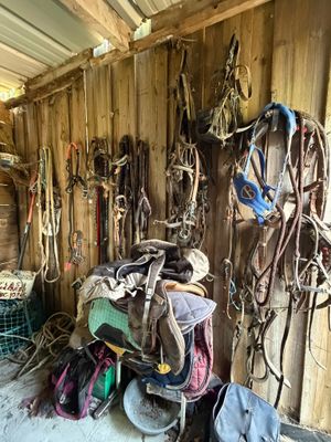 beaucoup d'articles d'équitation et de selles dans un hangar